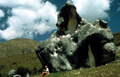 img347.jpg