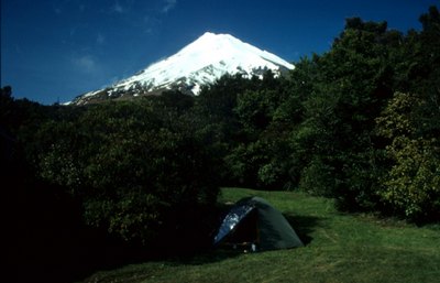 img348.jpg